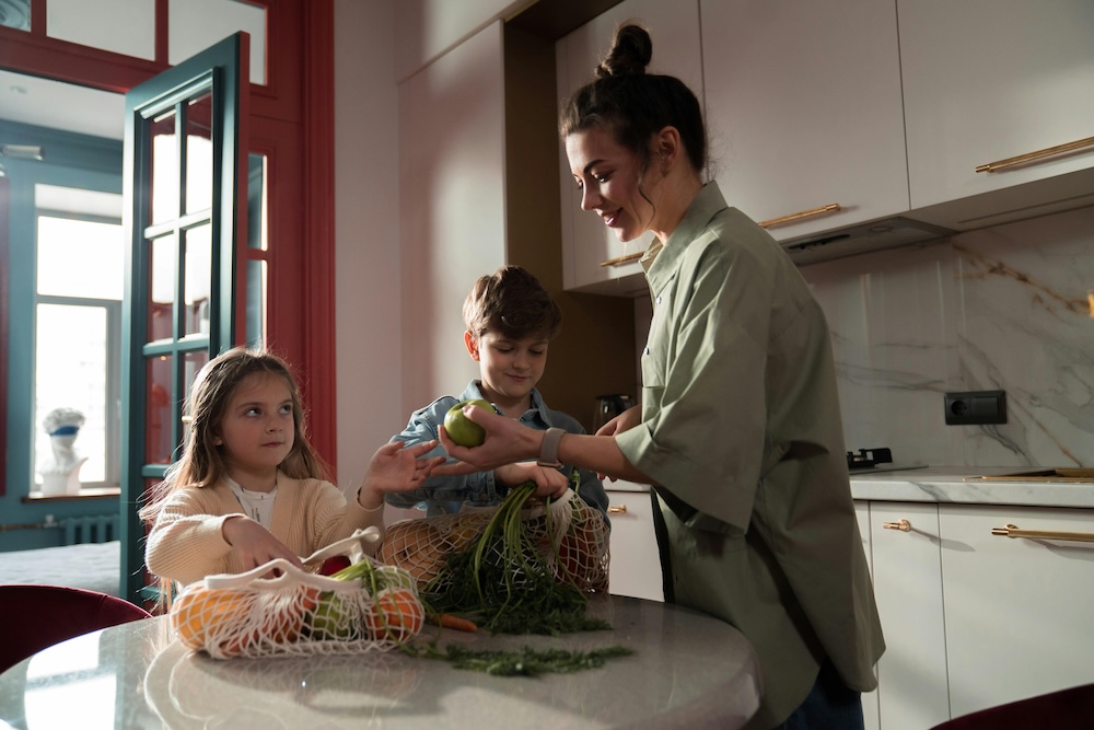 Safe Housing for Domestic Violence Survivors | North Star Foundation